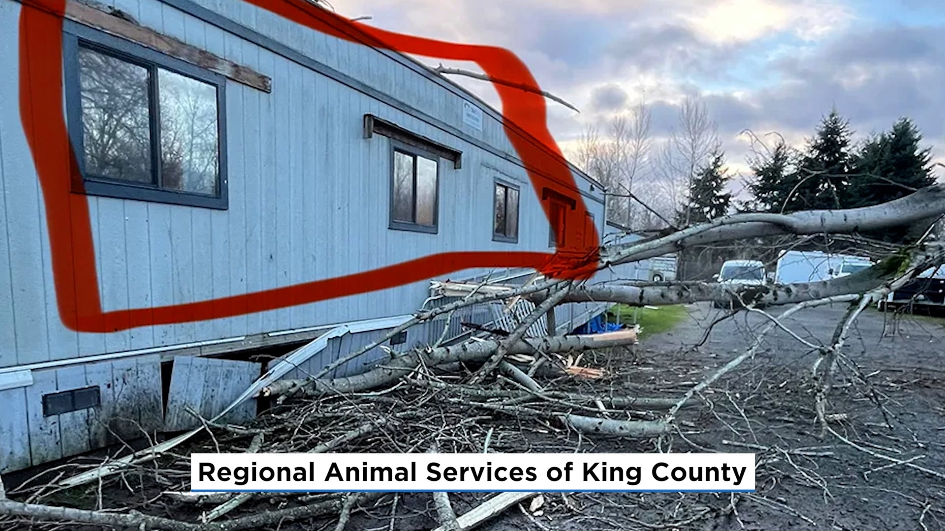 Thumbnail image for Storm Damage at RASK's Kent Animal Shelter